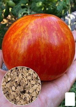 На развес Томат "Яблочный окрас" Agro-Market цена за 1г (46369)