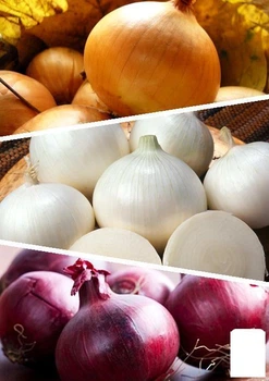 На развес Лук "Смесь лучших популярных сортов" Agro-Market цена за5г (45533)