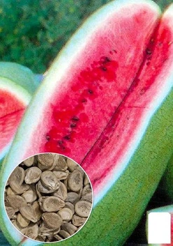 На развес Арбуз "Медовый гигант" Agro-Market цена за 5г (51902)