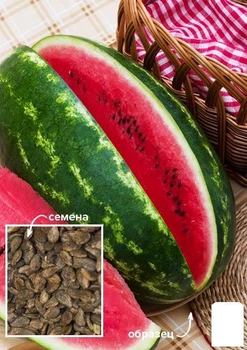На вагу Кавун "Кай" Agro-Market ціна за 5г (49462)