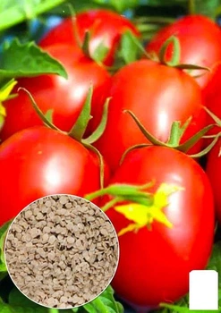 На развес Томат "Одесская сливка" Agro-Market цена за 1г (52196)