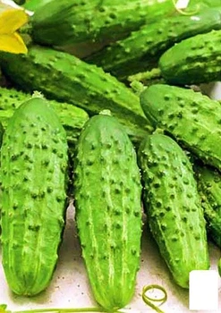 Огірок "Супер корнішон" (у банку) Agro-Market 5г (46898)