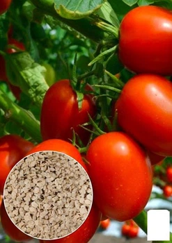 На развес Томат "Сливка медовая" Agro-Market цена за 1г (52199)