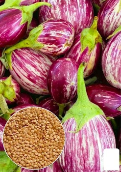 На вагу Баклажан "Смугастий рейс" Agro-Market ціна за 2г (86725)