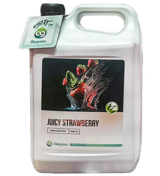 Рідке мило Bergreen каністра Juicy Strawberry 5000 мл (4820274560071)