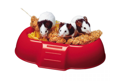 Кормушка для грызунов Ferplast Dada 4706 Feeding Bowl 16.5x11.5x3.5 см 84706799