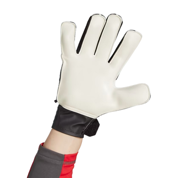 Футбольні рукавички Adidas  HN5610 10 Білі (4065432954594)