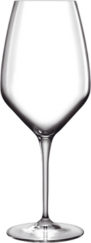 Набір келихів для вина Luigi Bormioli Atelier White Wine Glass Riesling 440 мл 2 шт (32622011928)