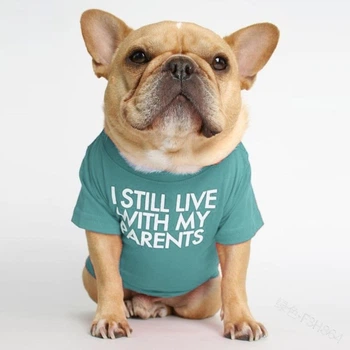 Футболка для котів Pet Style "I steel" Блакитна XS