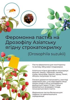 Феромонна пастка на азіатську ягідну строкатокрилку (пастка + феромон)