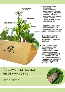 Феромонна пастка на озиму совку Scotia segetum Schiff (пастка+ феромон)