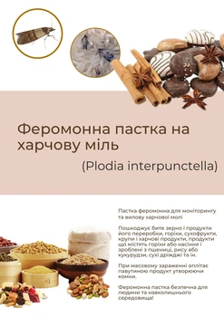 Феромонна пастка на харчову міль (пастка + феромон)