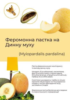 Феромонная ловушка на дынную муху (ловушка+ феромон)