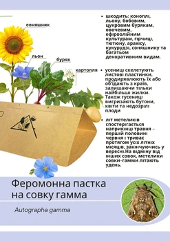 Феромонна пастка на совку гамма (пастка+ феромон)