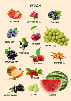 Учебный постер ламинированный А3 Ягоды