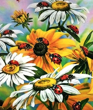 Алмазна мозаїка Josef Otten Ромашки в коробці 30*40 см (GLD61243)