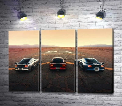 Модульная картина Гоночные автомобили Ford Mustang Shelby GT500 на старой дороге 60x40 см Модуль №2 (000956)