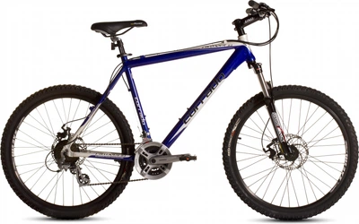 Велосипед Corrado Piemont DB 26" 16.5" Бело-синий (0307-С-16)