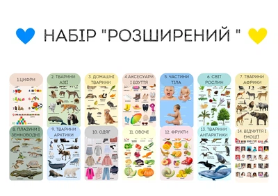 Учебные постеры ламинированные А3 Набор Расширенный