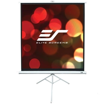 Проекционный экран Elite Screens T113NWS1