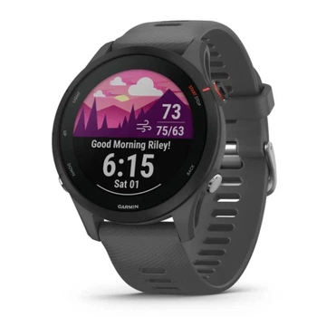 Смарт-часы GARMIN Forerunner 255 Slate Gray (010-02641-10)