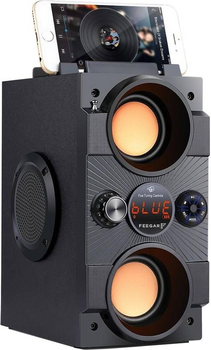 Акустична система Feegar DANCE LED 30W Bluetooth 5.0 Radio AUX SD (FEE-00700)