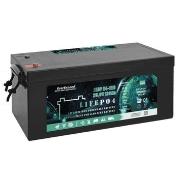 Акумулятор LiFePO4 EverExceed LDP 24-120 (25.6V120AH)