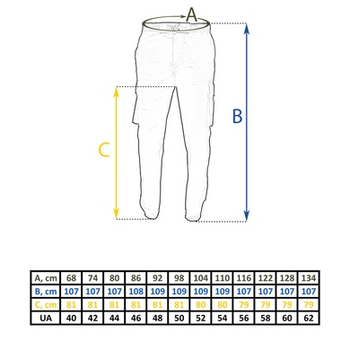 Штани ріп-стоп мм-14 зсу) джогери 52 (піксель