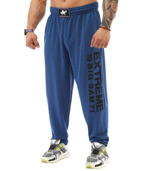 Штани спортивні легкі Big Sam 1358 сині, розмір 3XL