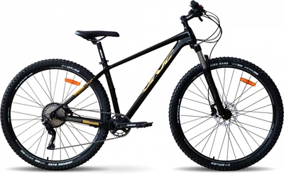Велосипед VNC FastRider Sport Air 29" L/19" Черный (V1C9A-2948-BG)