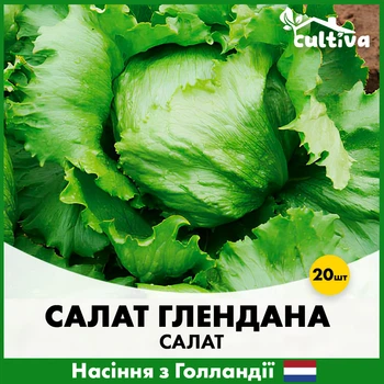 Салат айсберг Enza Zaden Глендана, 20 шт
