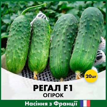Огурец Clause Регал F1, 20 шт