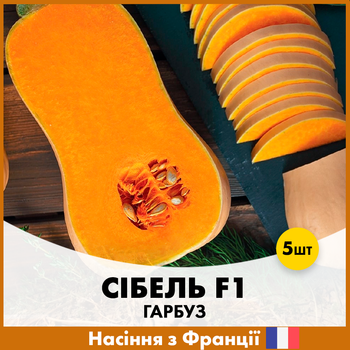 Тыква Clause Сибель F1, 5 шт