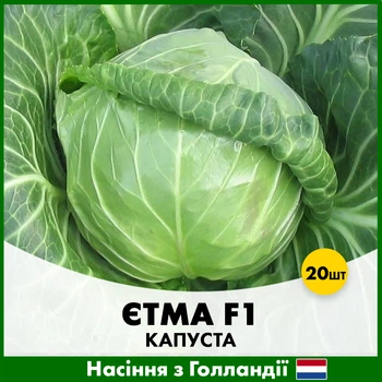 Белоголовая Капуста Rijk Zwaan Етма, 20 шт