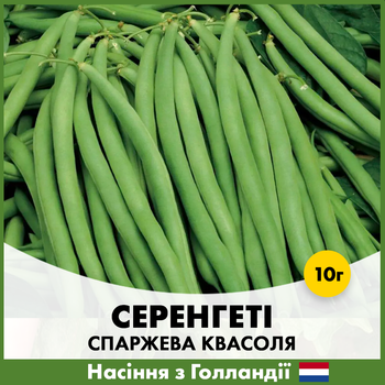 Голландские семена Syngenta Спаржевая фасоль Серенгети, 10 г