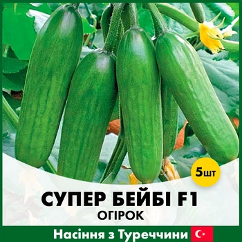 Огурец Yuksel Tohum Супер Бейби F1, 5 шт