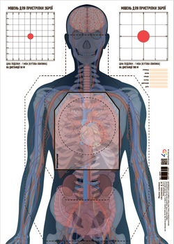 Мішень сувенірна «Анатомічна», ф. А2