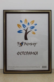 Фоторамка 50Х70, вишневий із золотою змійкою, 2416-152-9, СКЛО+ДВП
