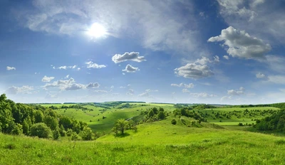Картина на холсте "Природа" (N401)