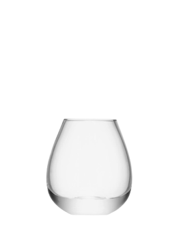 Мини-настольная ваза LSA International Flower 9,5 см (FW27)