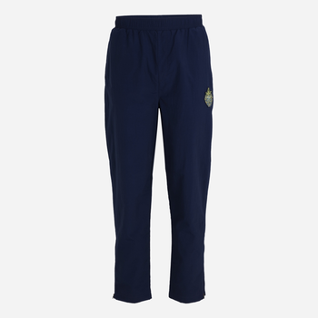 Спортивні штани чоловічі Fila FAM0361-50001 M Сині (4064556389060)