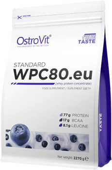 Białko OstroVit Standart WPC80.eu Blueberry Yoghurt 2270 g (5902232619560)
