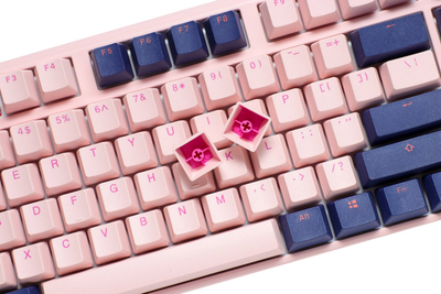 Klawiatura przewodowa Ducky One 3 Fuji TKL MX Silent Red USB Pink-Blue (DKON2187-SUSPDFUPBBC1)