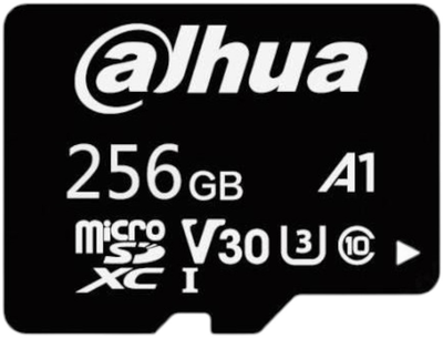 Карта пам'яті Dahua MicroSD L100 256 GB Class 10 (TF-L100-256GB)