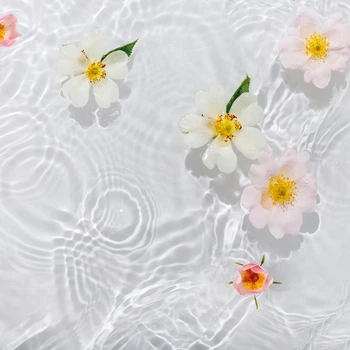Виниловый фотофон 80x80см, Frontlit 450 г/м2 №551571