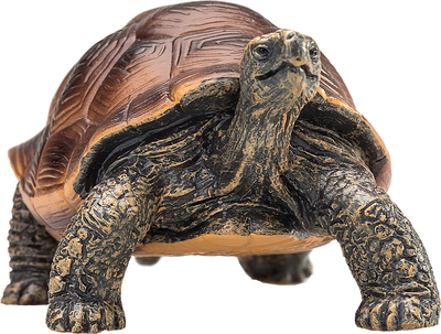 Фігурка Mojo Animal Planet Giant Tortoise Large 3.5 см (5031923872592)