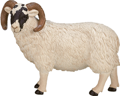 Figurka Mojo Farm Life Black Faced Sheep Ram 8 cm (5031923870819)