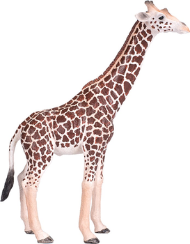 Zestaw figurek Mojo Safari Premium Hand Painted Animal Play 6 szt (5031923800267)