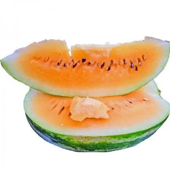 Семена арбуза Оранж Лакшери F1 (Oranj Lakhseri), ранний, Lark Seeds, 5 шт.