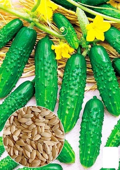 На развес Огурец "Заначка" Agro-Market цена за 2г (178511)